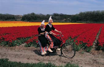 Holland