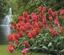 Holland
