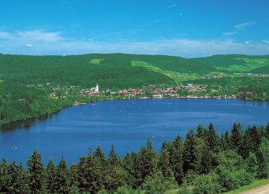 Schwarzwald & Weinstraen