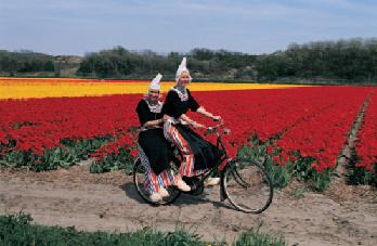 Holland - Land der Tulpen