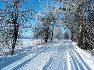 Silvester in der Lneburger Heide